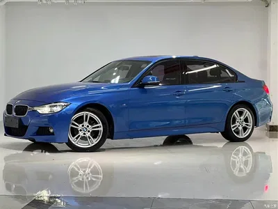 2017 BMW 3 Series 320Li M Sport, фото 1, лот 11449024