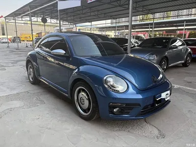 2019 Volkswagen Beetle 180TSI Classic Edition, фото 3, лот 11585719