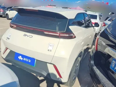 2024 BYD Seagull Glory Edition 305km Vitality Edition, фото 3, лот 10253247
