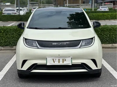 2021 BYD Dolphin Model 405km Fashion Edition, фото 2, лот 10252892