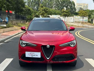2017 Alfa Romeo Stelvio 2.0T 200HP Luxury Edition, фото 2, лот 10239871
