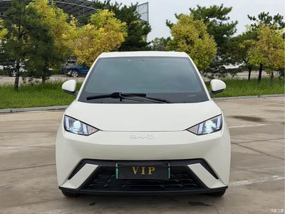 2024 BYD Seagull Glory Edition 305km Vitality Edition, фото 3, лот 10250224
