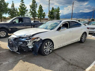 2020 LEXUS ES 350, фото 1, лот 10848484