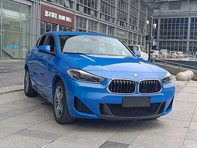 2020 BMW X2 sDrive25i Leading M Sport Package, фото 3, лот 11006911
