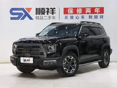 2022 Haval Big Dog Model 2.0T DCT AWD Howling Celestial Dog Hunting Edition, фото 1, лот 10361992