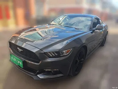 2017 Ford Mustang 2.3T Performance Edition, фото 1, лот 11562603