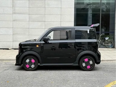 2025 Geely Galaxy Panda Model Year 210km Panda Kart, фото 4, лот 10431252