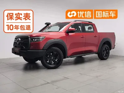 2020 Great Wall Pao 2.0T Off-Road Auto Gasoline 4WD Premium Edition GW4C20B, фото 1, лот 11580225