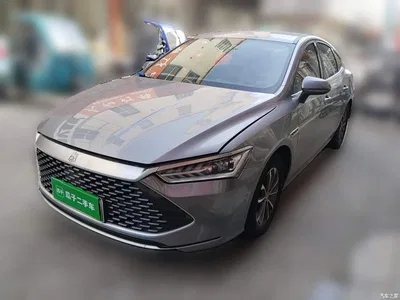 2023 BYD Qin PLUS Champion Edition DM-i 55KM Leading, фото 1, лот 10363533