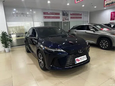 2025 Lexus RX 300 4WD Premium Edition, фото 3, лот 10318385