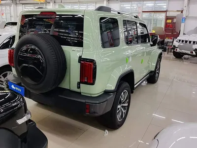 2021 Tank 300 Urban Edition 2.0T Stylish, фото 3, лот 10344720