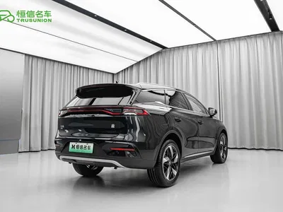 2023 BYD Tang New Energy Model DM-i Champion Edition 112KM Deluxe, фото 4, лот 10273155