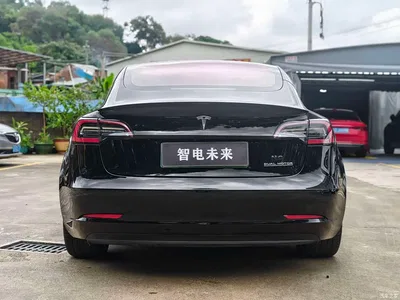 2019 Tesla Model 3 (Import) Performance High-Efficiency All-Wheel Drive Version, фото 2, лот 10351811