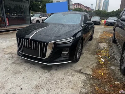 2025 Hongqi H5 1.5T DCT Flag Rhythm 500,000 Units Memorial Edition, фото 1, лот 10416061