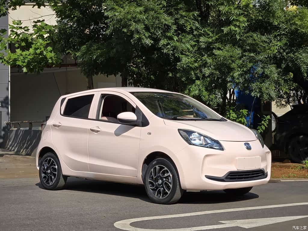 2021 Changan Benben E-Star National Edition Colorful Version LFP (31.86kWh), фото 2, лот 10246897