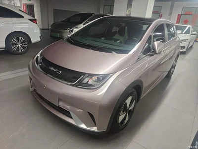 2023 BYD Dolphin 420km Fashion Edition, фото 1, лот 11067873