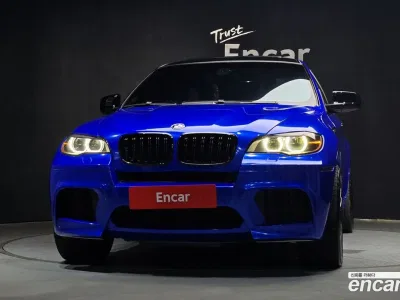 2010 BMW X6M 4.4, фото 2, лот 10081683