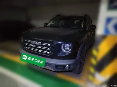 2022 Haval Big Dog 1.5T DCT FWD Border Collie Edition, фото 1, лот 11140375