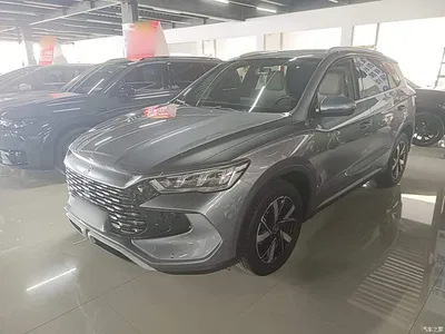 2024 BYD Song Pro New Energy Glory Edition DM-i 71KM Pilot, фото 1, лот 11133876