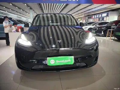2023 Tesla Model Y Rear-Wheel Drive Edition, фото 3, лот 10370345