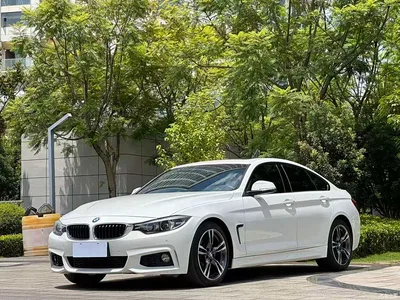 2017 BMW 4 Series 425i Gran Coupe Leading M Sport Package, фото 1, лот 10411397