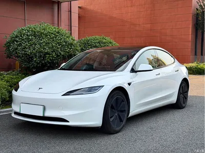 2023 Tesla Model 3 Rear-Wheel Drive, фото 1, лот 10452149