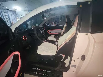 2022 QQ New Energy Little Ant Sweet Pink Edition Half Sugar Version NCM Lithium 30kW 301km, фото 3, лот 11523097