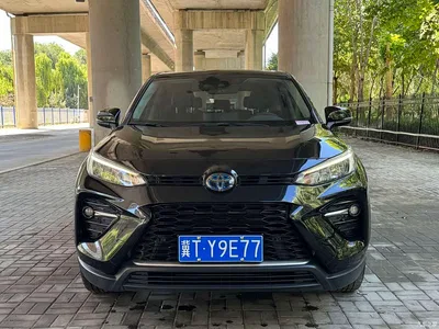 2021 Toyota Wildlander 2.0L CVT 2WD Luxury Edition, фото 3, лот 10354456