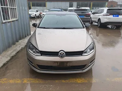 2017 Volkswagen Golf 1.6L Auto Comfort Millionth Edition, фото 2, лот 10449847