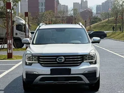 2017 GAC Trumpchi Trumpchi GS8 320T 2WD Luxury Smart Connect (7-seater), фото 2, лот 10415152