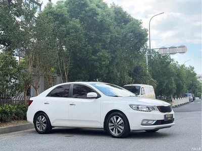 2014 Kia Forte 1.6L MT GLS, фото 3, лот 10334212