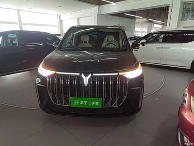 2024 Voyah Auto Voyah Dreamer PHEV Extended Range Premium Edition, фото 3, лот 11137671