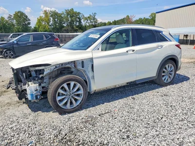2019 INFINITI QX50 LUXE, фото 1, лот 11559047