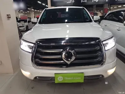 2021 Great Wall Pao 2.0T Passenger Global Edition Automatic Gasoline 2WD Comfort Standard Box GW4C20B, фото 3, лот 10248878