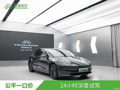 2025 Tesla Model 3 Model Rear-Wheel Drive Edition, фото 3, лот 10356621