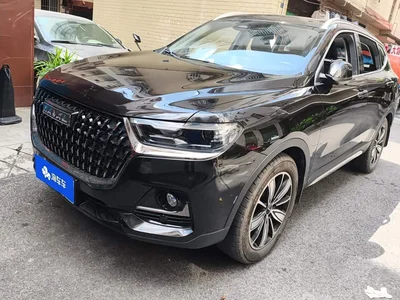 2023 Haval H6 National Trend Edition 1.5T Automatic Champion, фото 2, лот 11202797