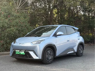 2024 BYD Seagull Glory Edition 305km Vitality Edition, фото 1, лот 10247750