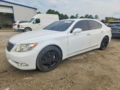 2009 LEXUS LS 460, фото 1, лот 10845281