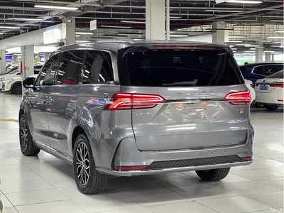 2022 Roewe iMAX8 EV Silver Edition, фото 4, лот 10957976
