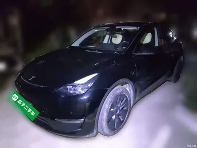 2023 Tesla Model Y Long Range All-Wheel Drive Edition, фото 1, лот 10635489