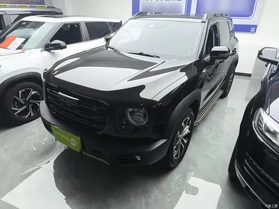 2021 Haval Big Dog 1.5T DCT 2WD Border Collie Edition, фото 2, лот 10417319