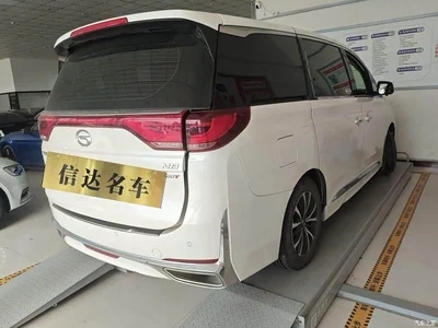 2021 GAC Trumpchi Trumpchi M8 Leading Show Series 390T Luxury Edition, фото 2, лот 10662988