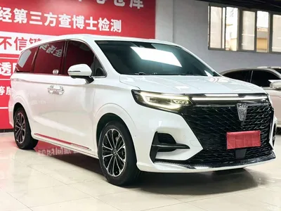 2021 Roewe iMAX8 400TGI Supreme Series Ultimate Edition, фото 3, лот 10338889