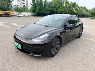 2021 Tesla Model 3 Standard Range Rear-Wheel Drive Upgrade, фото 1, лот 10368343