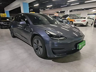 2021 Tesla Model 3 Standard Range Rear-Wheel Drive Upgrade 3D6, фото 4, лот 10369135