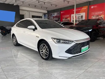 2021 BYD Qin PLUS DM-i 120KM Flagship, фото 3, лот 10363430