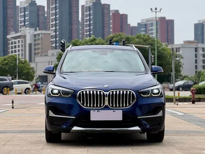 2020 BMW X1 xDrive25Li Premium Edition, фото 2, лот 10466577