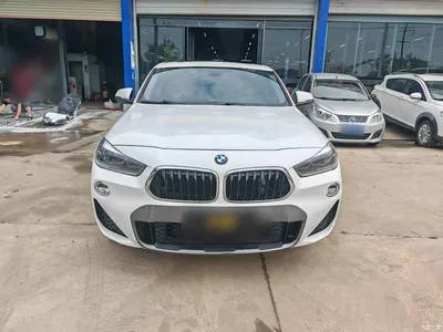 2019 BMW X2 (Import) sDrive25i Leading M Off-Road Package China VI, фото 3, лот 10475635