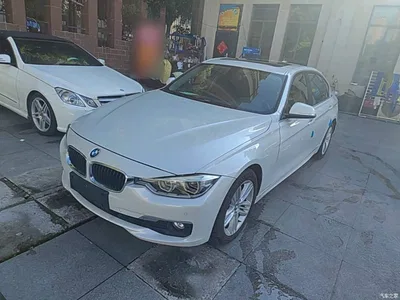 2016 BMW 3 Series 320Li Progressive, фото 2, лот 10457607