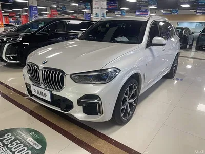 2022 BMW X5 Model xDrive 40Li M Sport Package, фото 1, лот 10400150